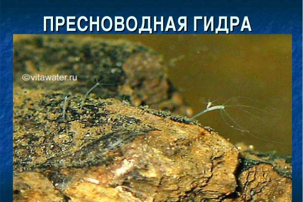 Зеркало кракен дарк