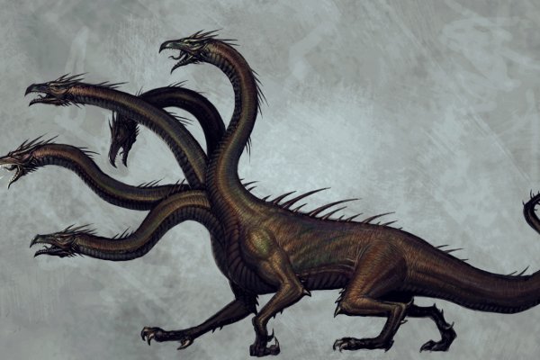 Заказать даркнет