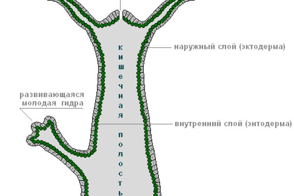 Оригинальная ссылка кракен браузера