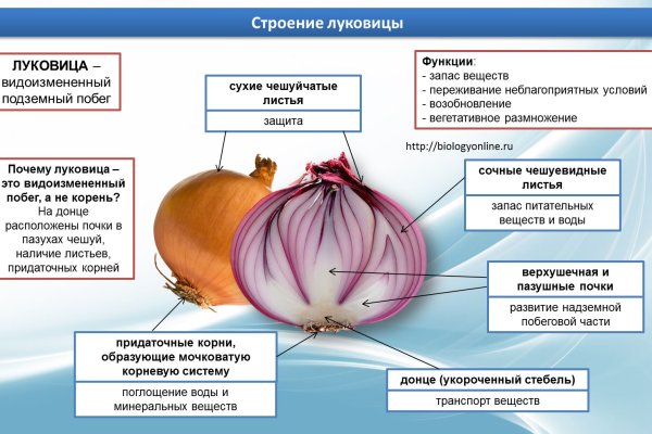 Услуги даркнета