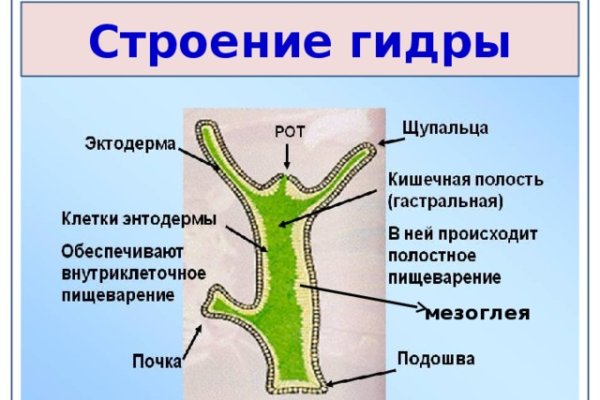 Kraken market зеркала